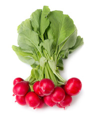 Radishes isolated on white background