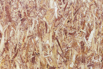 Texture of nature wood background closeup for design