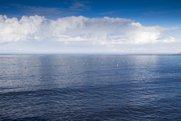 Obraz premium Marée haute près de l'embouchure de la Loire face à Saint-Nazaire (Loire-Atlantique)