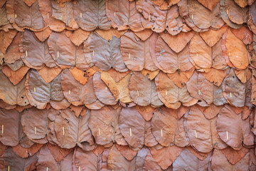 Brown dry leaves wall, Dry leaves texture, Dry leaves background