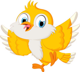 cute bird cartoon