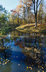 Fototapeta na wymiar Pond in the city autumn park.