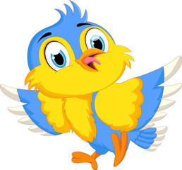 Cute bird cartoon