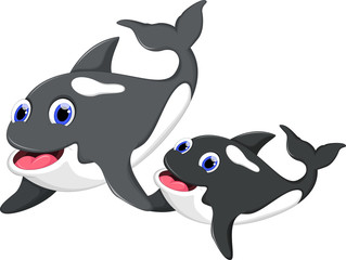 Killer whale and her son