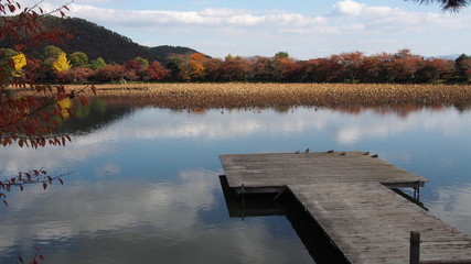 大覚寺　大沢池