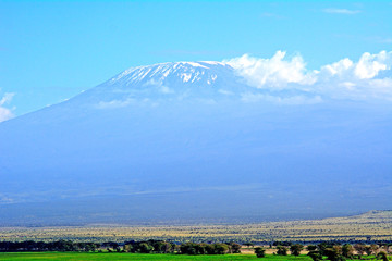 Naklejka premium Kilimanjaro, Amboseli National Park, Kenya
