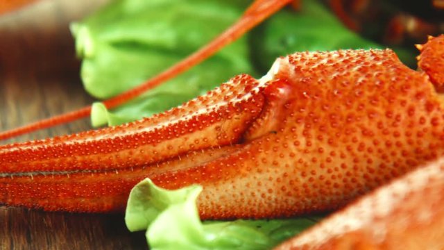 Close panoramic shot of claw of crayfish or lobster lying on the tray with green lettuce of salad