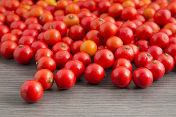 Colombian exotic fruit Corozo