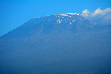 Fototapeta na wymiar Kilimanjaro, Amboseli National Park