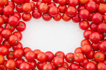 Colombian exotic fruit Corozo