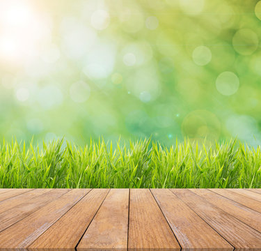 Bright spring or summer with nature grass field background and wooden floor
