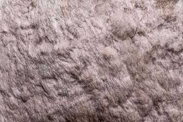 the bark textures backgrounds - Unique tree texture with twirl effect - texture of the plank wood