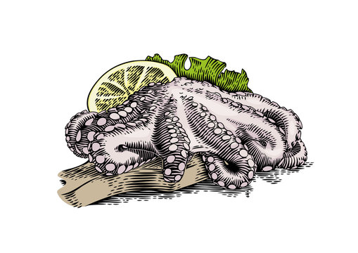 Octopus with lemon and lettuce on the wooden board
