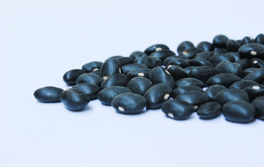Black Bean isolated on the White Background