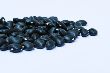 Black Bean isolated on the White Background