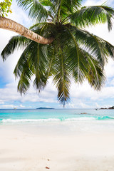 Obraz na płótnie Canvas Amazing tropical beach