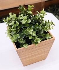 Green Artificial Plant in A Wooden Pot