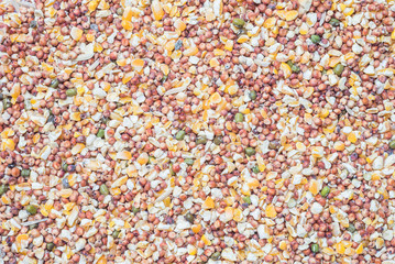 Closeup cereal for bird food textured background