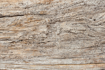 Naklejka na ściany i meble Grunge of wood texture