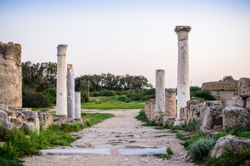 Ancient city of Salamis located in Cyprus.