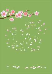 Branch of sakura with flowers. Cherry blossom branch with petals