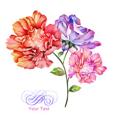 watercolor illustration flowers in simple background