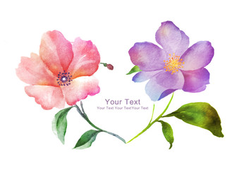 watercolor illustration flowers in simple background - 106847996
