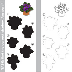 Violet. Find true correct shadow.