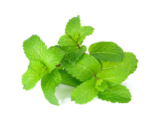 Fresh mint isolated on the white background