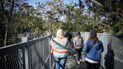 Fototapeta premium A new attraction in Chiang Mai. Canopy walkway, Queensrikit gard