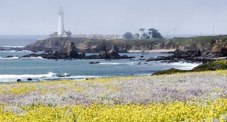 Fototapeta na wymiar Pigeon Point Lighthouse with Spring wildflowers. Pescadero, San Mateo County, California, USA.