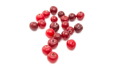 cranberries