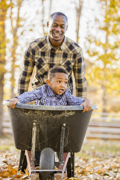 Father pushing son in wheelbarrow in autumn leaves