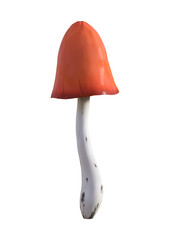 3D Illustration Mushroom on White