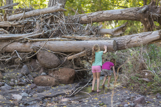 Caucasian girls exploring creek in forest