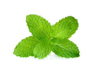 Fresh mint isolated on the white background