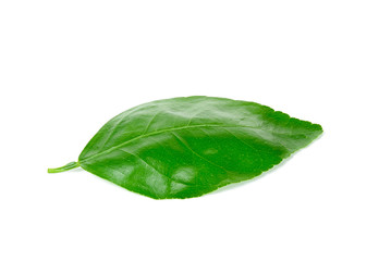 lime leaf Isolated on white background
