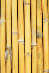 Bamboo wall house pattern background