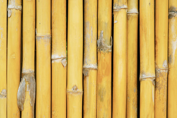 Bamboo wall house pattern background