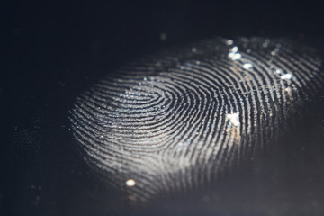 finger print and hand print on screen