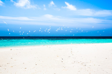 Nice view of the deserted beach .
