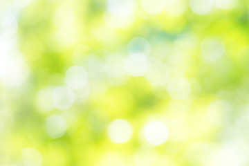 Fototapeta premium Green background