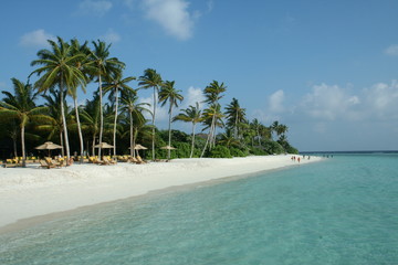 Perfect white beach with sun beds on a tropical island