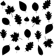 Leafs black and white