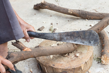 Logger man cutting wood