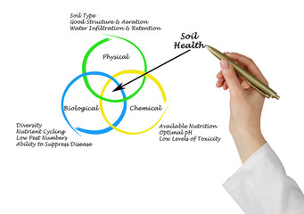 Obraz premium Causes of Soil Health