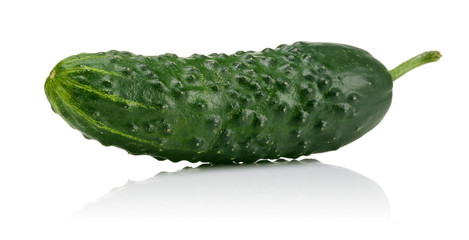 Prickly cucumbers 