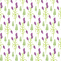 Wild flower purple plant spring field seamless pattern. Floral tender fine summer vector pattern on white background. For fabric textile prints and apparel.