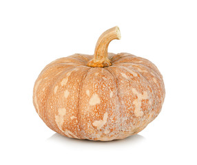 Fresh pumpkin isolated on white background