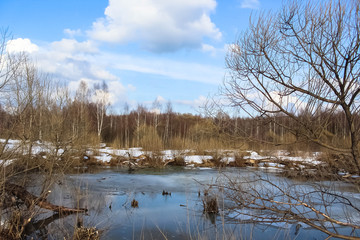 Весенний паводок у лесного пруда